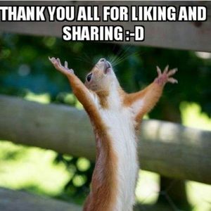 Thank You Fellow Poshers!